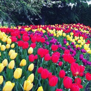 Meet your Posher, Eve